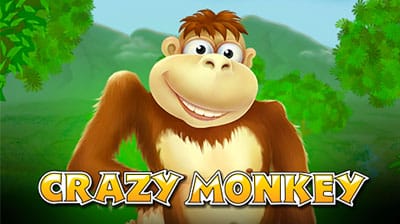 CRAZY MONKEY